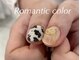 ロマンティックカラー(Romantic color)の写真