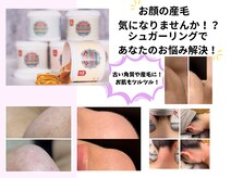 フルールスレーヌ(Fleur Sereine)