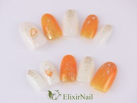 定額a シンプル/クーポン使用