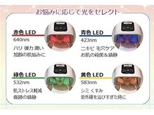 ハウピア(Haupia)/サロンケアでお肌の土台つくり