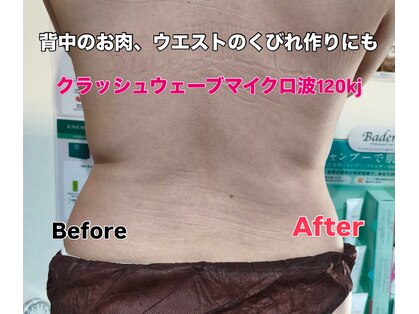 セルリアンブルー(Cerulean Blue)の写真