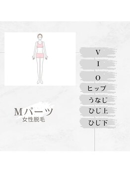 リノ(LINO)/脱毛M ¥2500