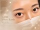チェリッシュ(Cherish)の写真