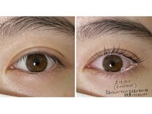 プルームミコ(Plume mico)/