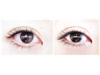 ボーテ ド アントス beaute de Antos/ボリュームとシングルの比較画像