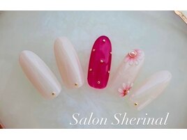 定額Cコース