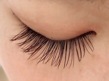 カラン 焼津店(CALIN)/フラットラッシュブラウン140本