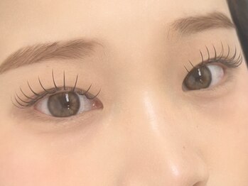 ルピナス 川口(Lupinus)/フラットラッシュ140本