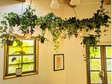 顔あげ屋/緑がたくさんの癒し空間