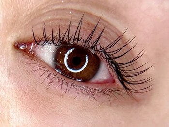 ティンク(Tink)/フラットラッシュ シングル