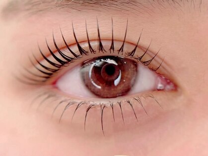 サニーロア(Sunny.Roa)の写真