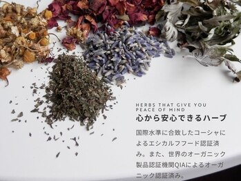 ハイノキの写真/頑張りすぎる貴方へ、肩に力が入ってませんか？よもぎ蒸しで心と身体を緩め、自分らしく整う時間♪
