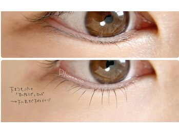 プルームミコ(Plume mico)/