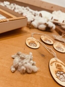 チェッコリ(CHECCOLY)/長者町コットンプロジェクト♪