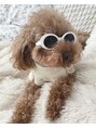 サロン ローズマリー(ROSE MARY) 我が家の愛犬です♪