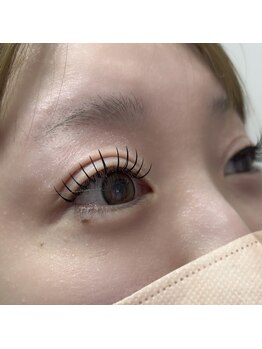 ファルコ(Falco)/フラットラッシュ付け放題