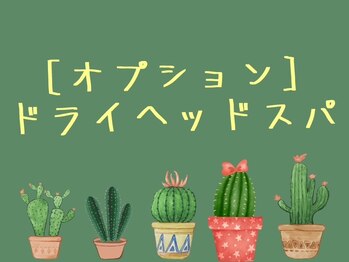整骨院がじゅまる堂/豊橋/整体/頭痛/不眠解消
