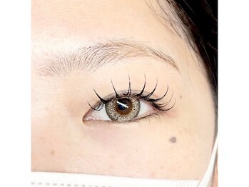 シュエール(Chuaile)/フラットラッシュ140本