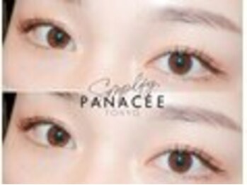 アンドルーチェ(ANDRUCHE)