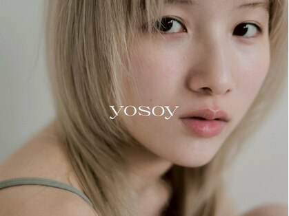 ヨソイ(yosoy)の写真