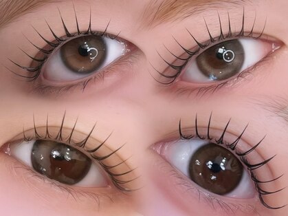ローズラッシュ(Rose Lash)の写真