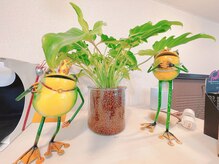 ビューティーバー サピ(Beauty Bar Sapi)/カエルをお探しください♪