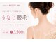 エステティック レイビス 川崎店(RAYVIS)の写真