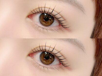 リノ(Lino)の写真