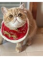 ケーオーエス ピンク(K O S Pink) 愛猫です!