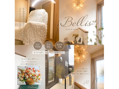 ベリス(Bellis)の写真