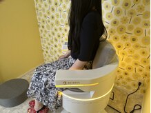 ブルーローズ(Blue Rose)の雰囲気(座るだけで骨盤底筋を鍛えることができるフェムケアマシン)