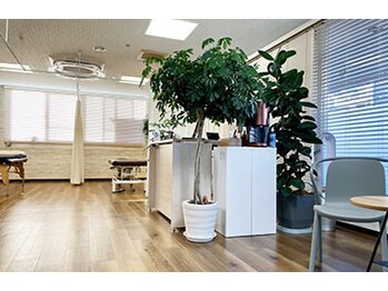 ABC整体スタジオ 大島/近隣のABC整体スタジオ店舗