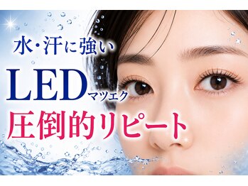 テルム(TELUM)の写真/水・汗につよいLEDマツエク/エクステがとれやすい奥二重/一重の瞼重めの方にはLカールのLEDが最強目元に♪