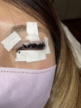 シャムス(SHAMS)/BLACKティント中