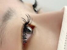 ニコ(nico…)/フラットラッシュ160本