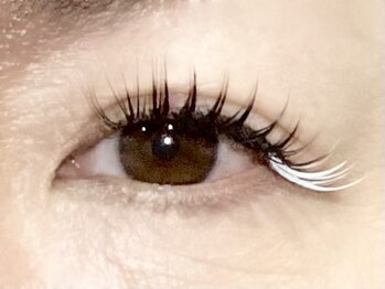 パキラ(Pachira)/“White”カラーマツエク