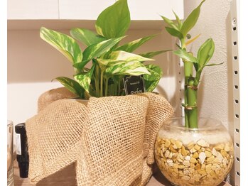 ソルーブ 広尾店/完全貸切のプライベートサロン