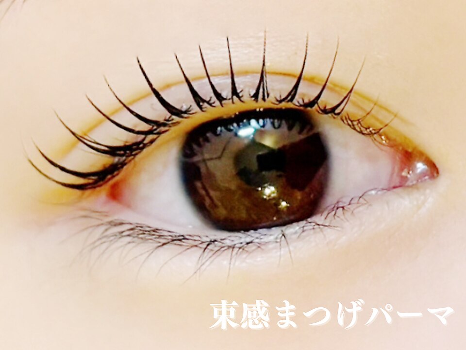 デイジーラッシュ 天王寺店(Daisy Lash)｜ホットペッパービューティー