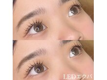 アニーアンドジーノイマザト(Annie&Gino imazato)/LEDエクパ