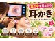 ラウレア クマモト(Laule'a kumamoto)の写真