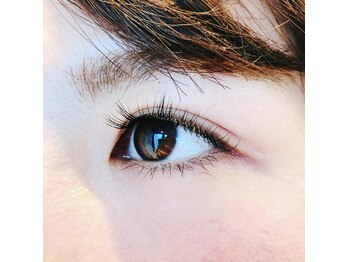 フランセス(Frances)/シングルラッシュ140本