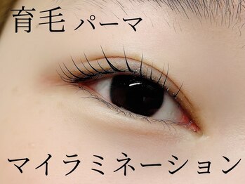 スピナー 新丸子(spinner)/マイラミネーション