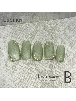 ルピナス(Lupinus)/定額Bコース