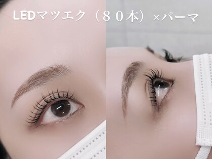 メッテ(mette)の写真