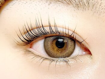 サクラ 心斎橋店(SAKURA)/パリジェンヌラッシュリフト♪