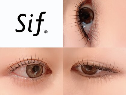 シフ(sif.)の写真