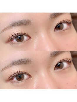 バレッタ アイラッシュ(Valletta eyelash)/~立ち上げデザイン~