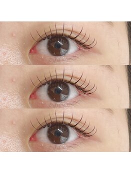 アイラッシュ ベイビーステップ(Eyelash Baby step)/フラットラッシュ140本