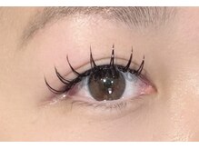 リグ(rig')/LEDフラットセーブルラッシュ