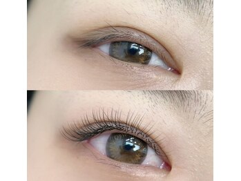 チルザルト サロン/フラットラッシュ120